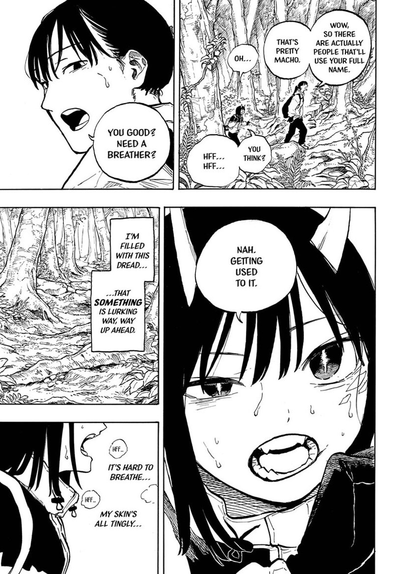 Ruridragon 46 3