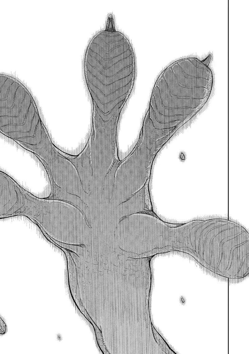Saikou Nando Meikyuu De Party Ni Okizari Ni Sareta S Rank Kenshi Hontou Ni Mayoi Makutte Daremo Shiranai Saishinbu E Ore No Kan Dato Tabun Kocchi Ga Deguchi Dato Omou 45 19