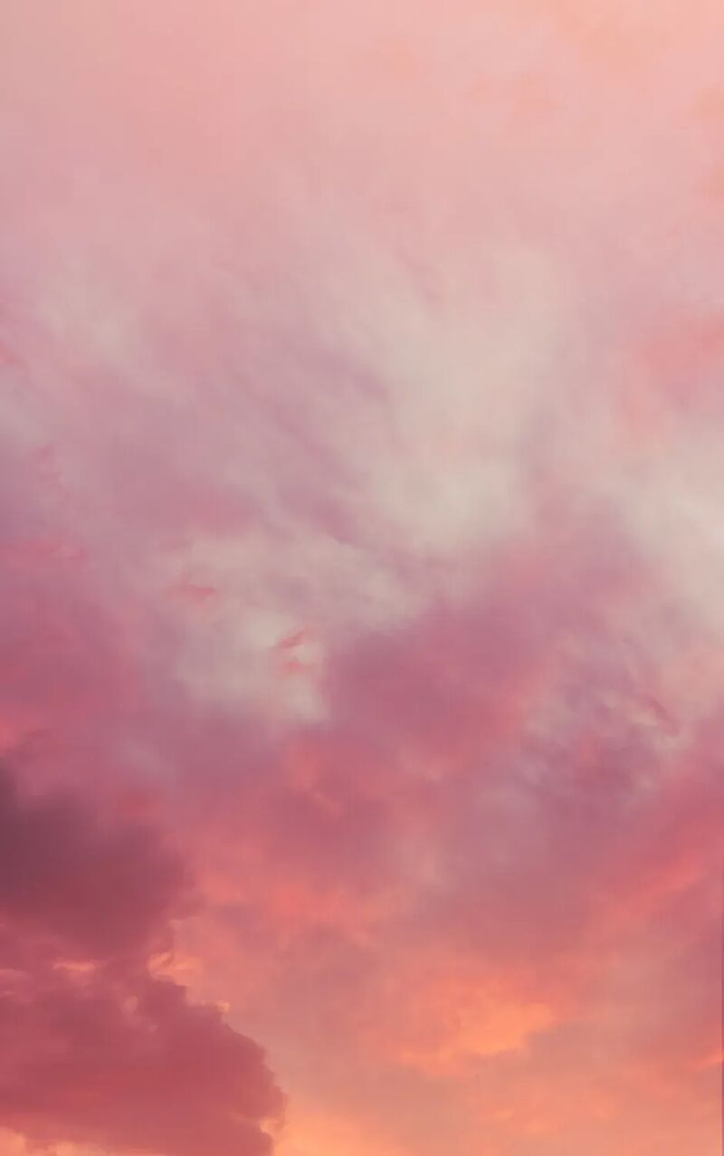 Second Life Ranker 219 1