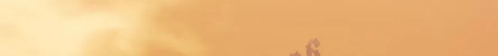 Second Life Ranker 219 170