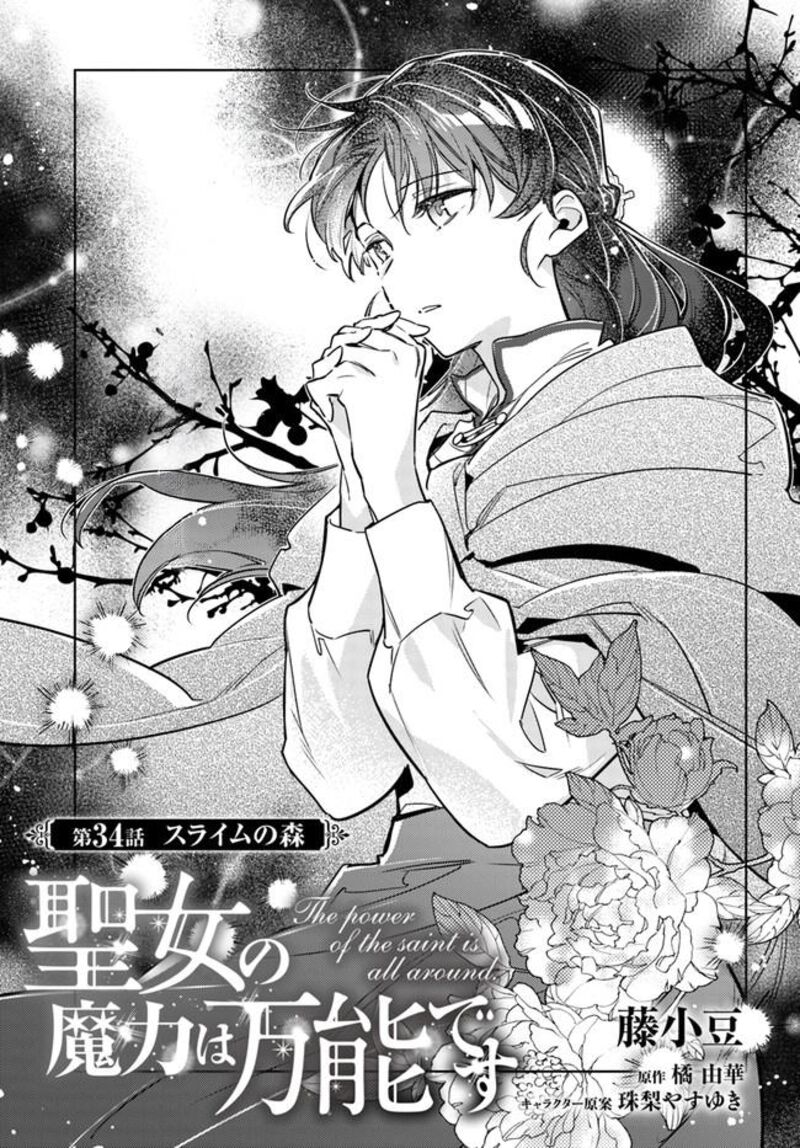 Seijo No Maryoku Wa Bannou Desu 34 1