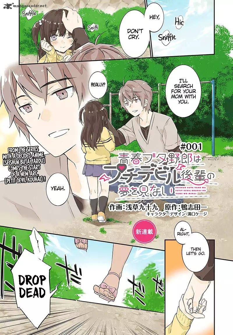 Seishun Buta Yaro Wa Petit Devil Kouhai No Yume Wo Minai 1 3