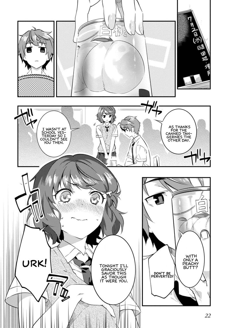 Seishun Buta Yaro Wa Petit Devil Kouhai No Yume Wo Minai 7 23