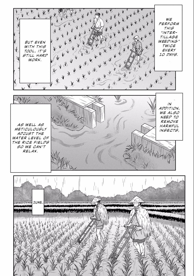 Sengoku Komachi Kuroutan Noukou Giga 6 31