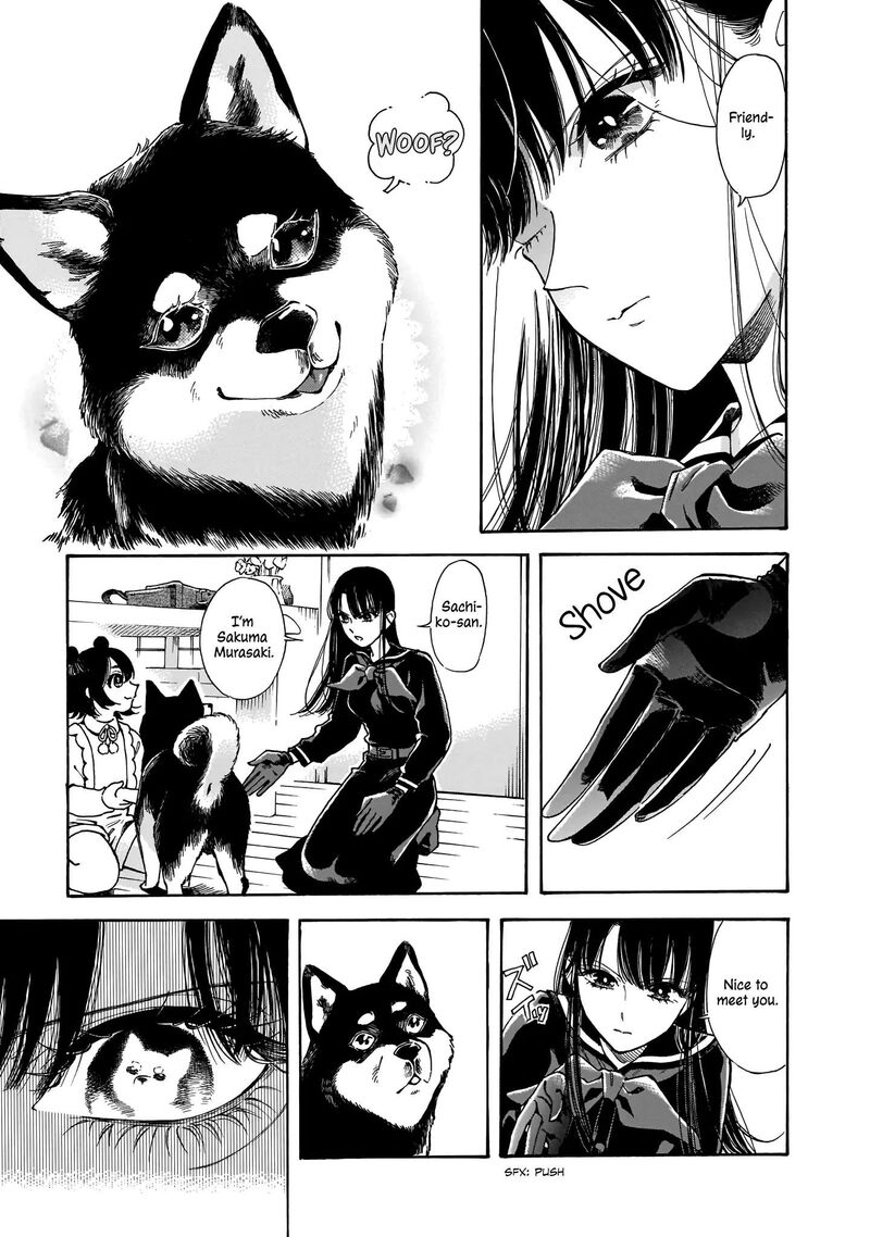 Sensei Kongetsu Dou Desu Ka 12 3