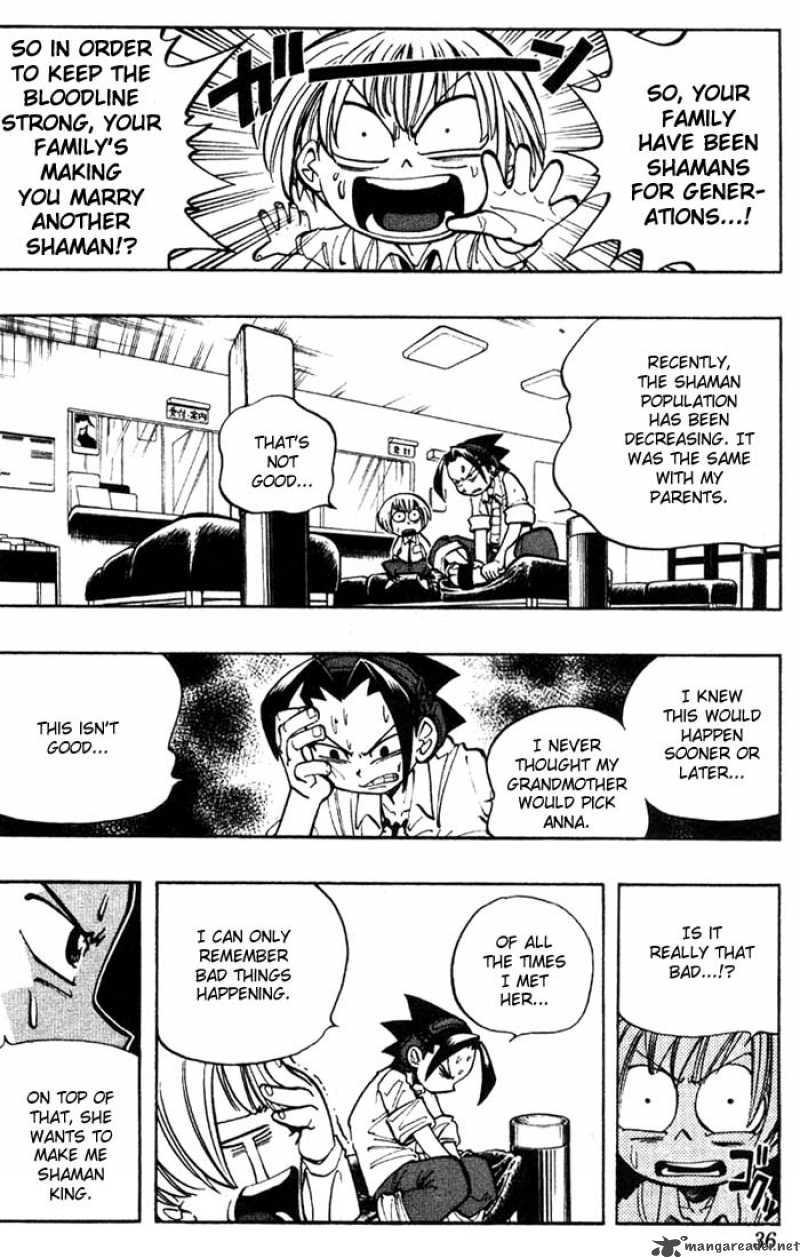 Shaman King 10 10