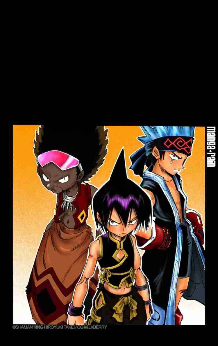 Shaman King 118 4