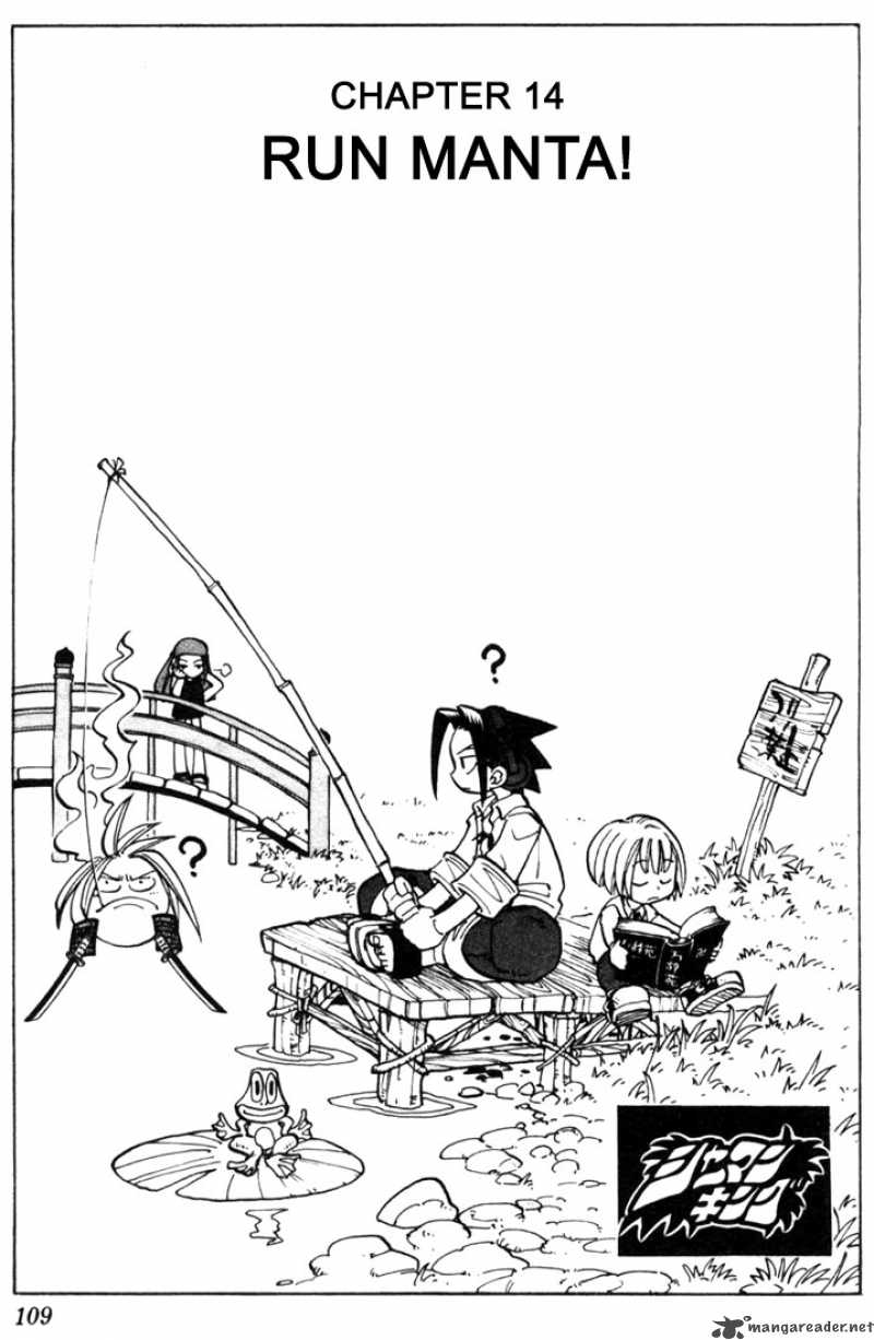 Shaman King 14 2