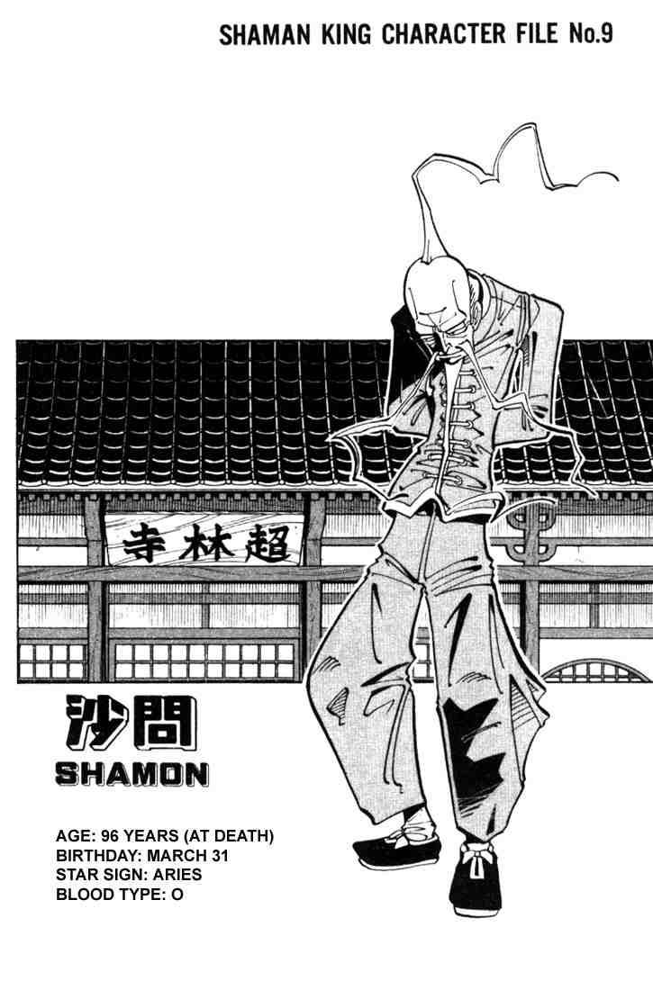 Shaman King 17 20