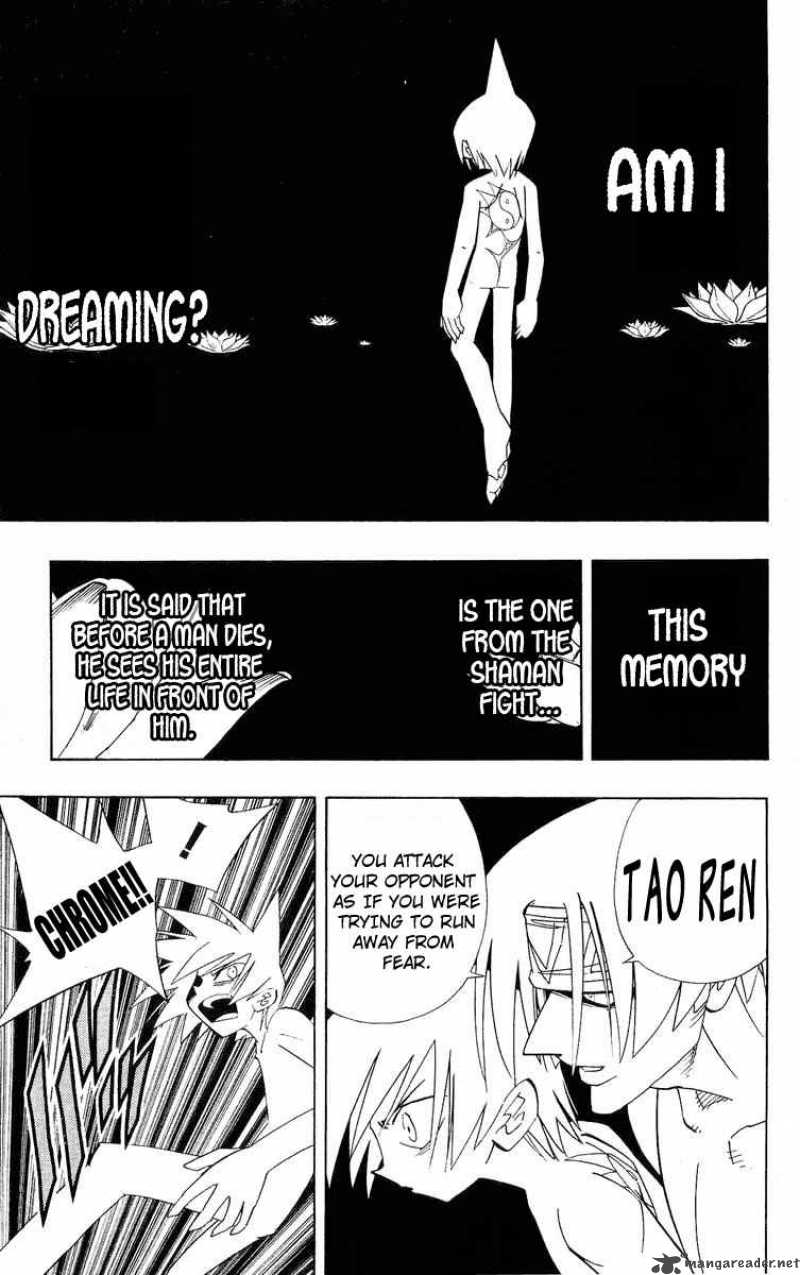 Shaman King 179 14