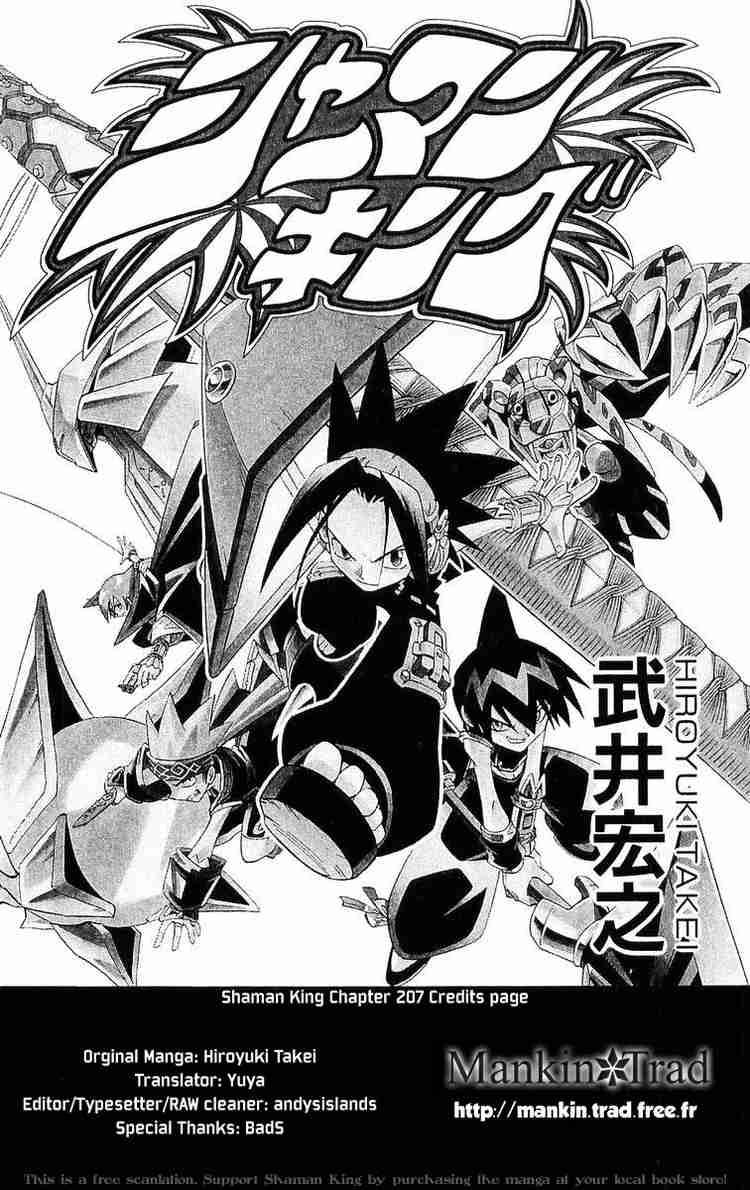 Shaman King 207 23