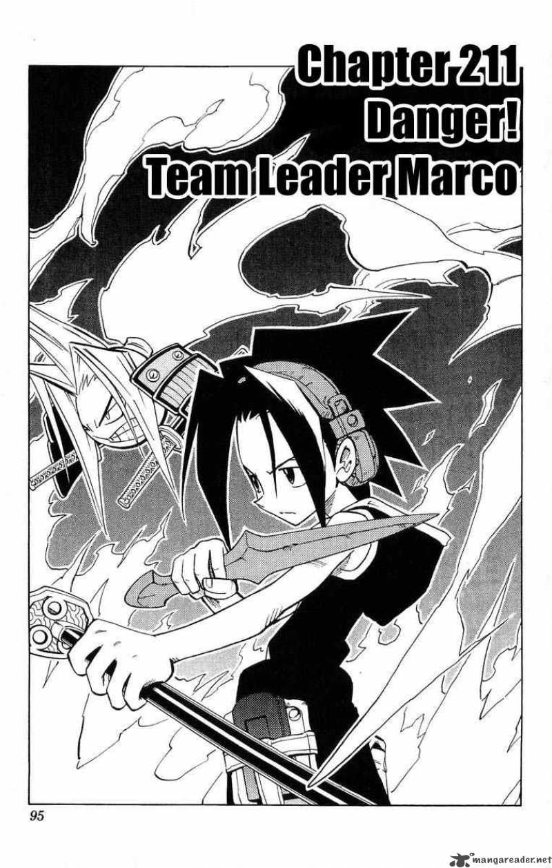 Shaman King 211 3