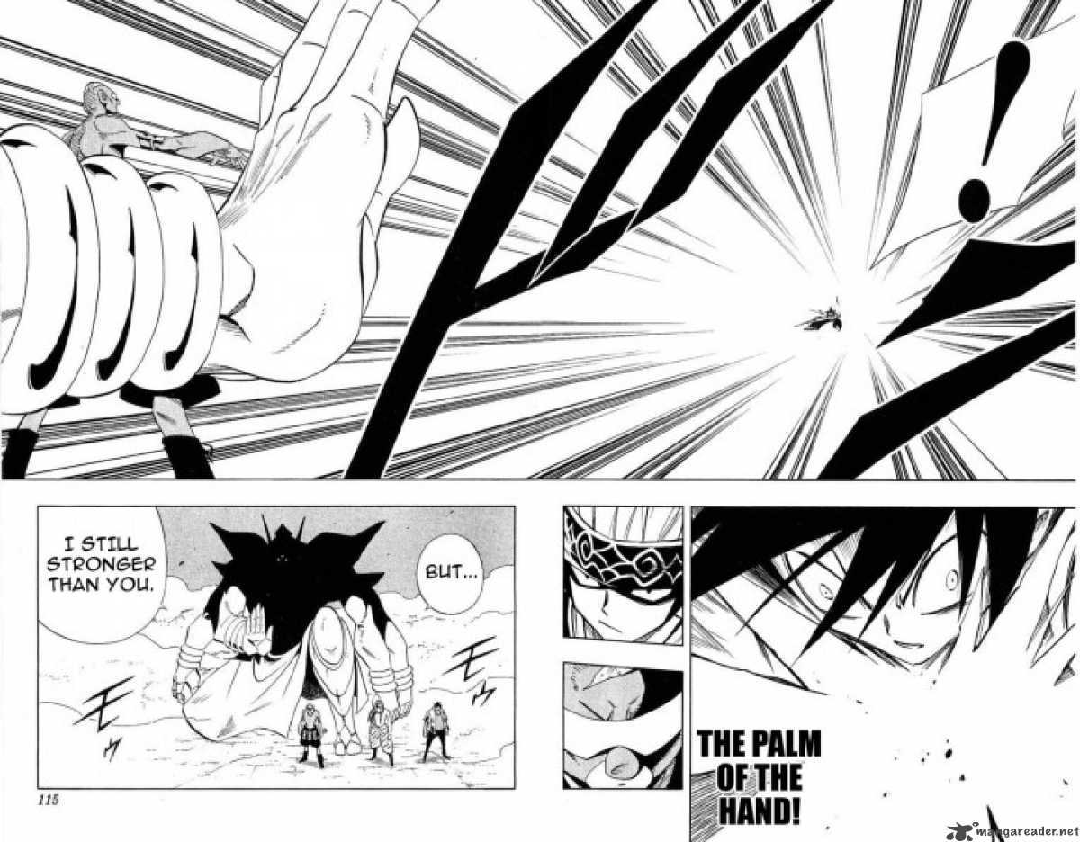 Shaman King 221 10