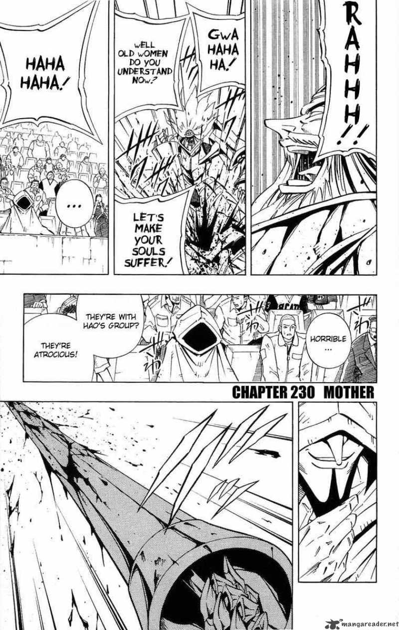 Shaman King 230 1