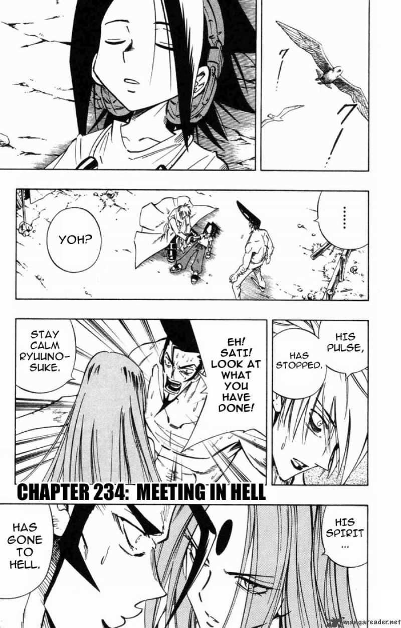 Shaman King 234 1