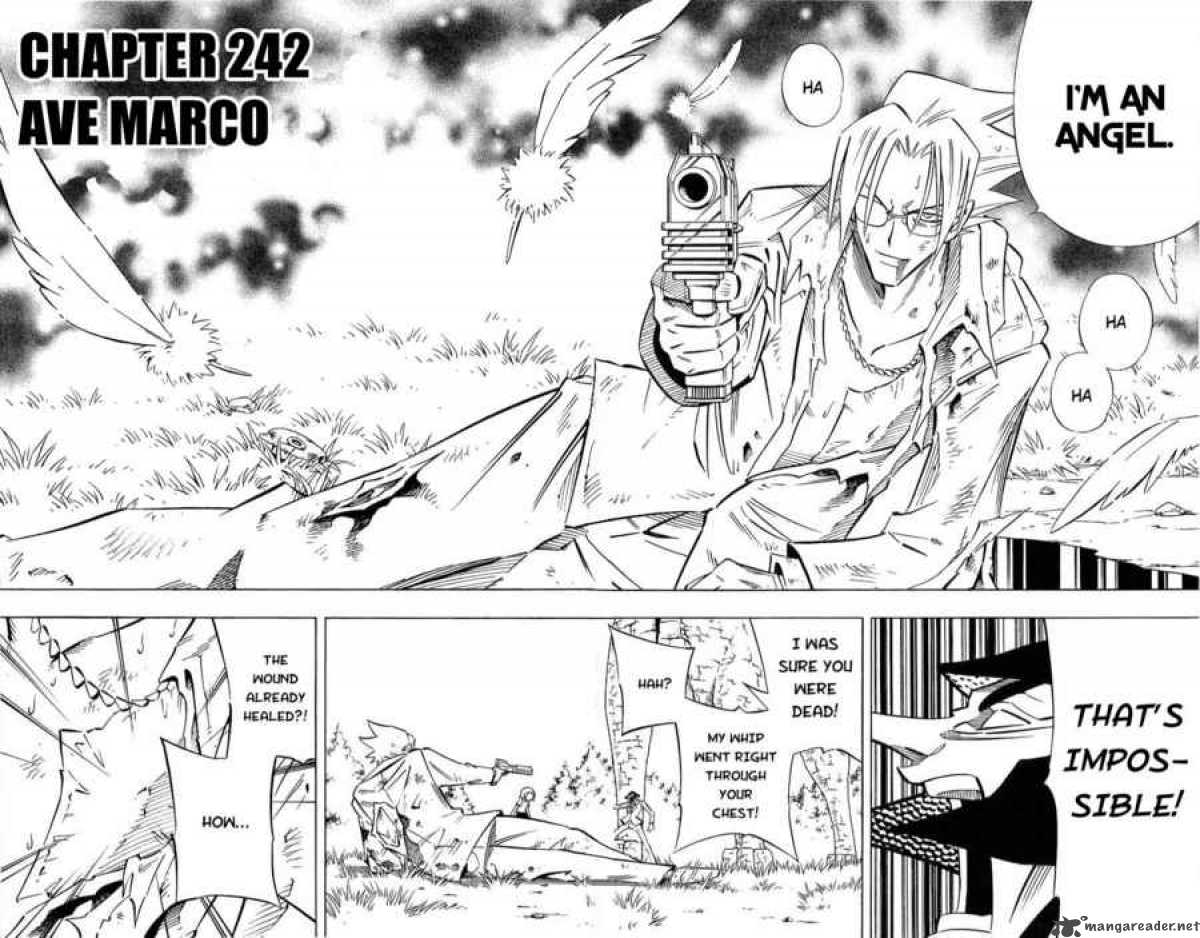 Shaman King 242 2