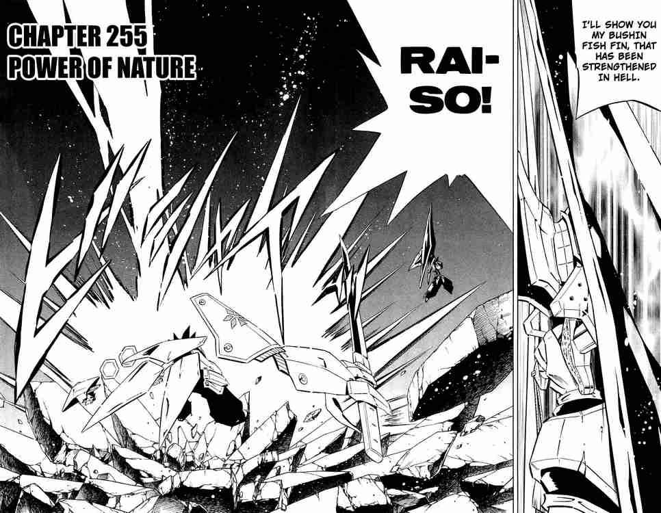 Shaman King 255 2