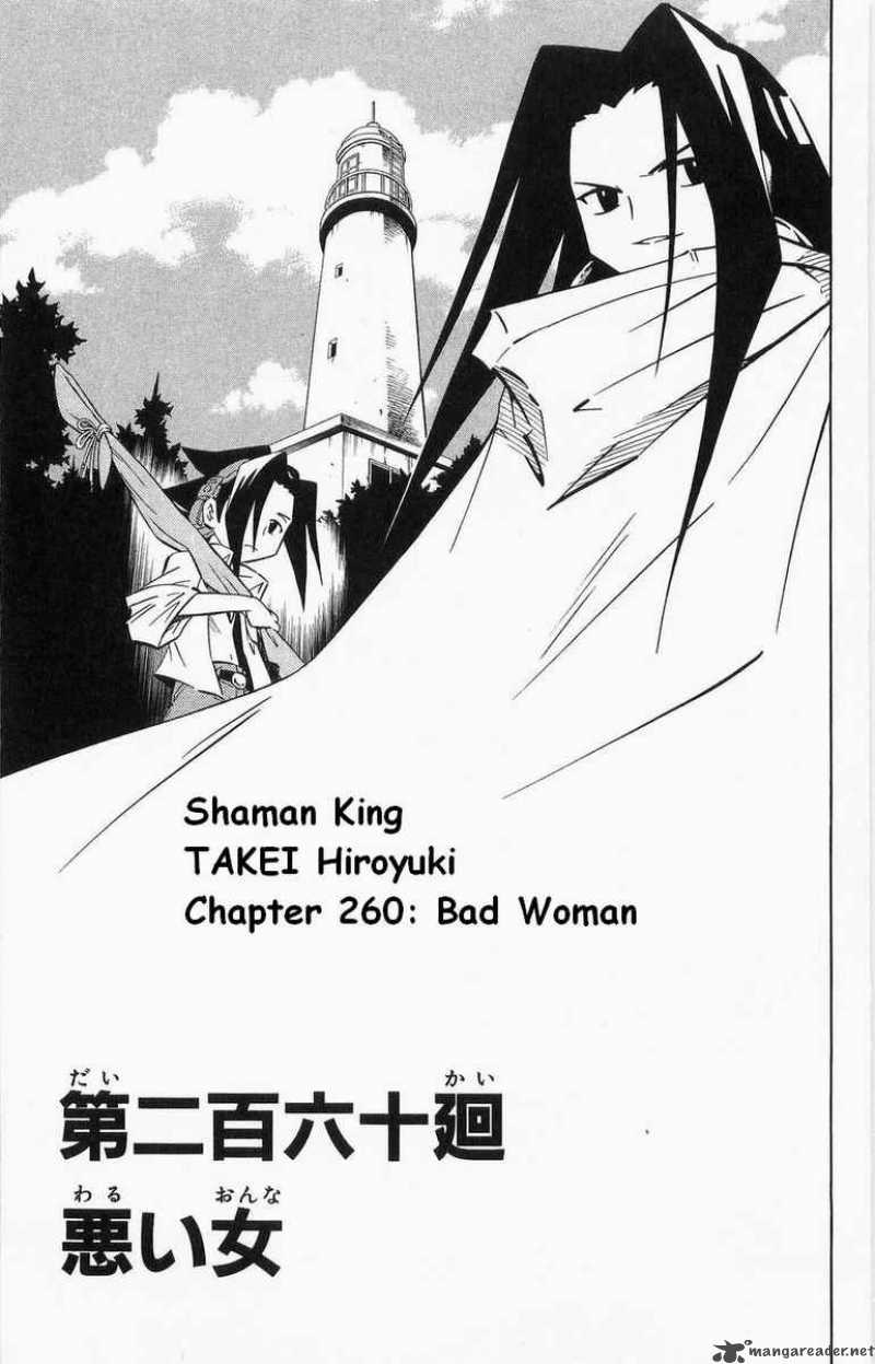 Shaman King 260 4