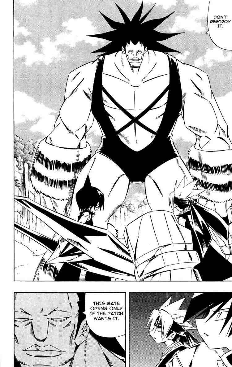 Shaman King 271 8