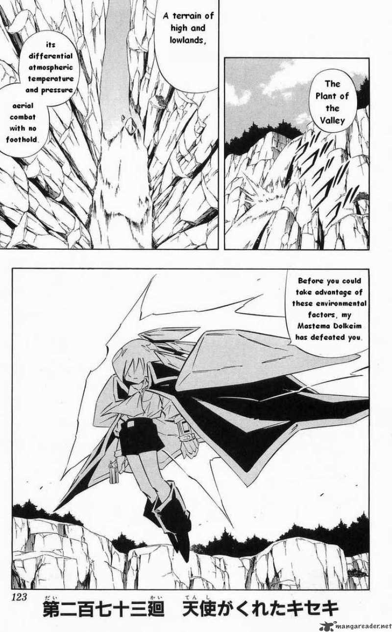 Shaman King 273 1