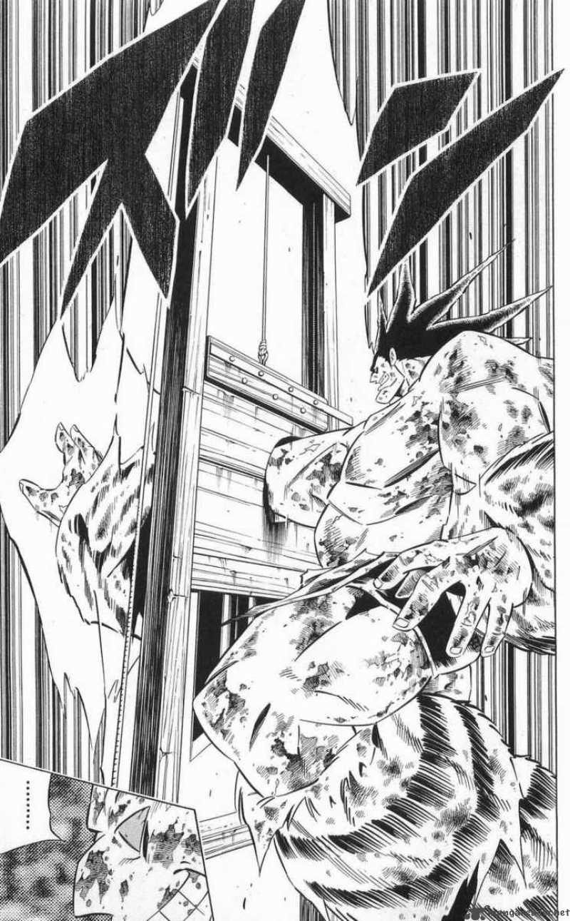 Shaman King 273 9