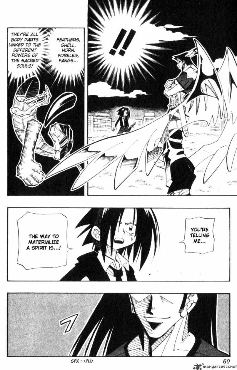 Shaman King 29 12