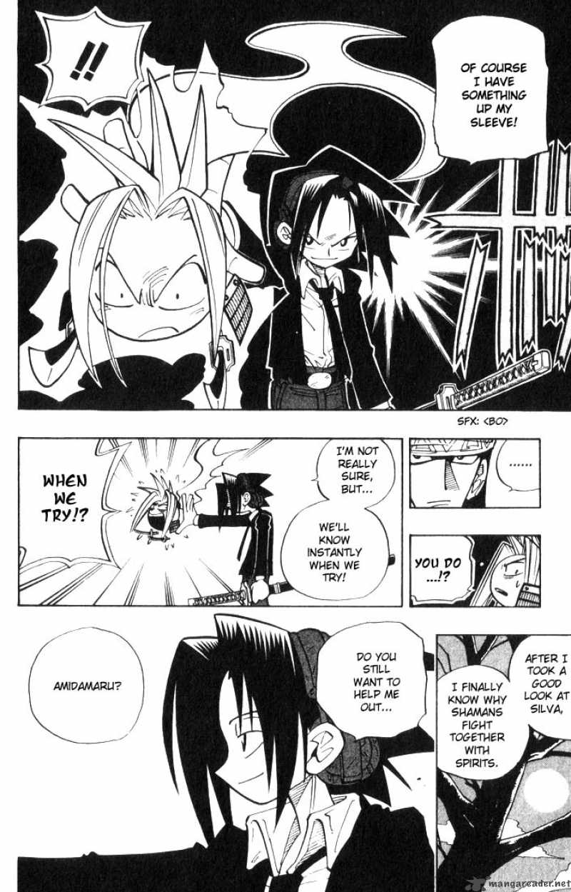 Shaman King 29 14