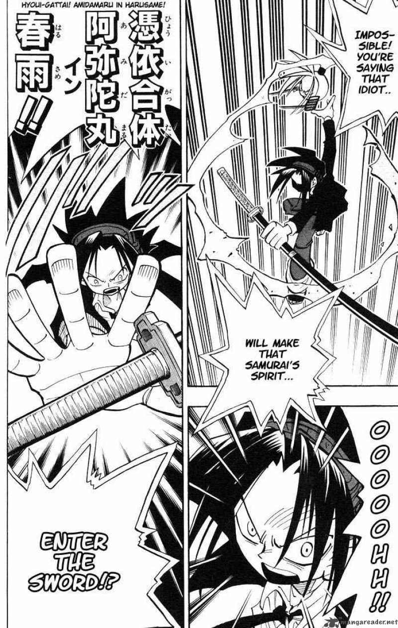 Shaman King 29 16