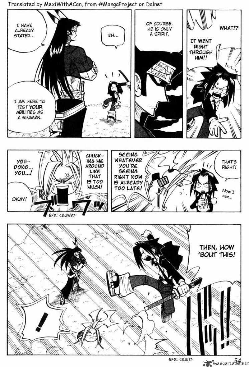 Shaman King 29 6