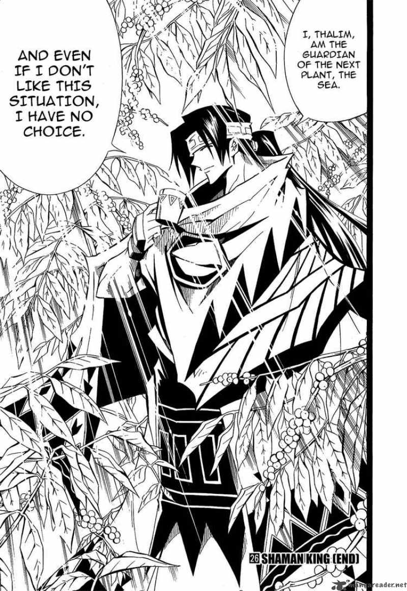 Shaman King 291 19