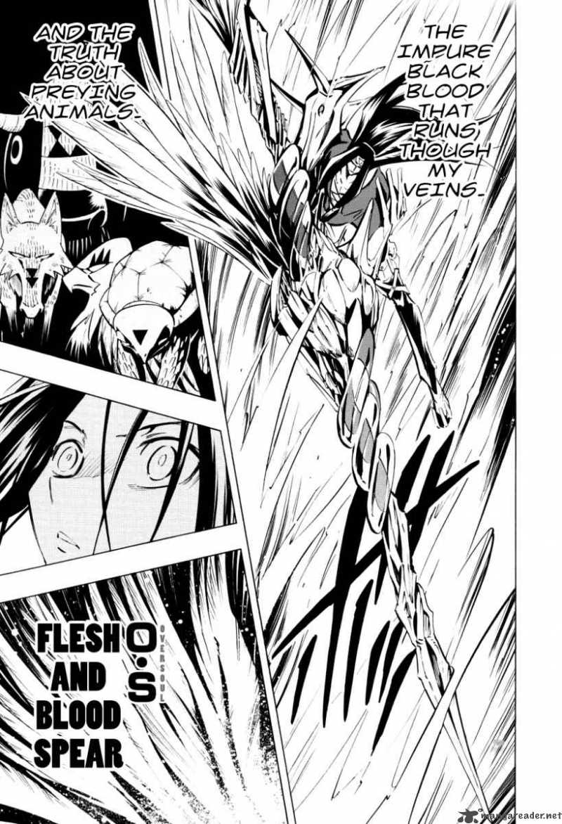 Shaman King 294 14