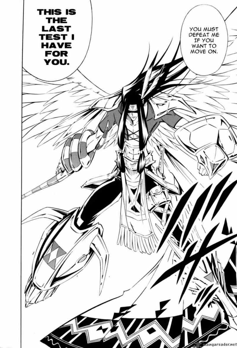 Shaman King 294 7