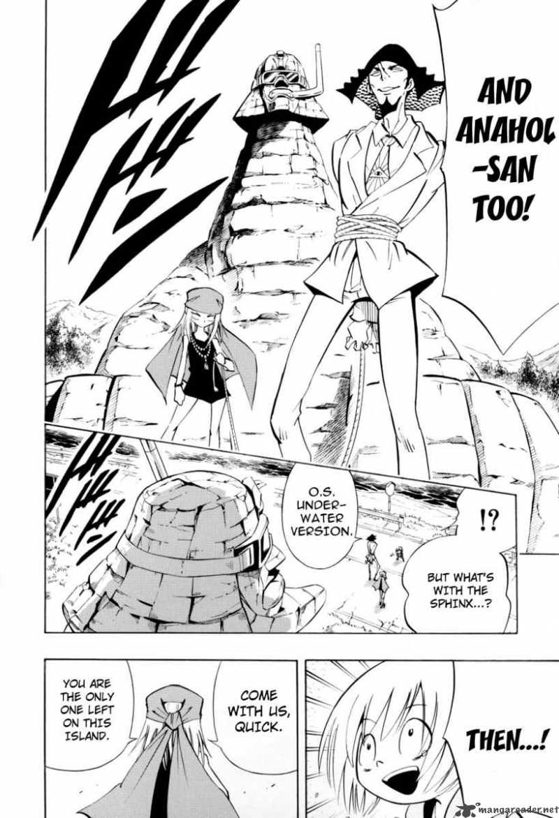 Shaman King 295 9