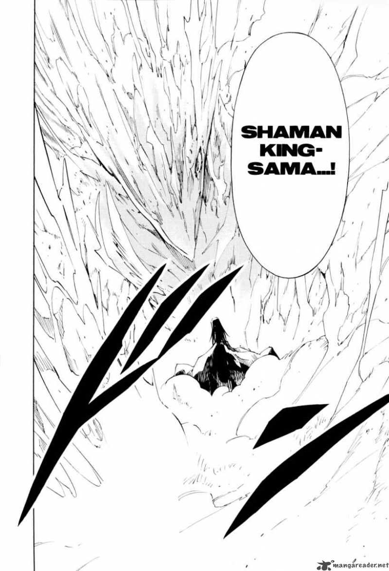 Shaman King 297 13