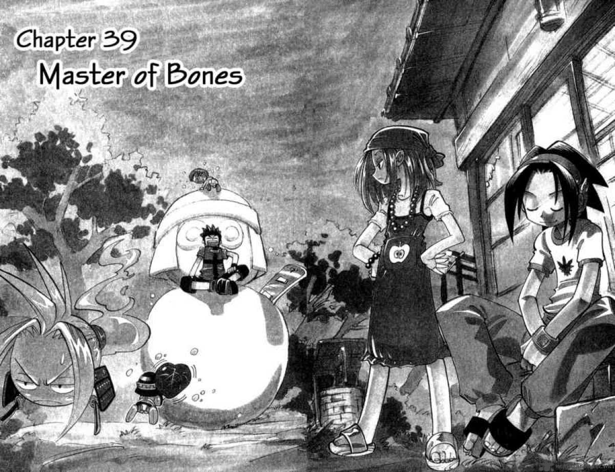 Shaman King 39 1