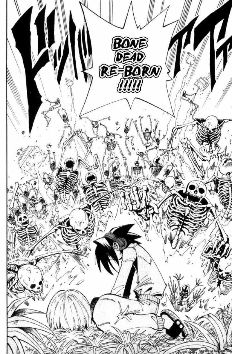 Shaman King 41 12