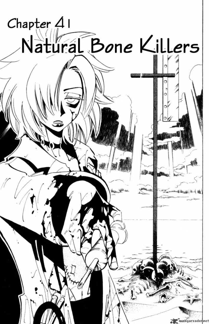 Shaman King 41 3