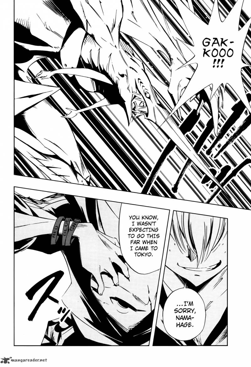 Shaman King Flowers 13 21