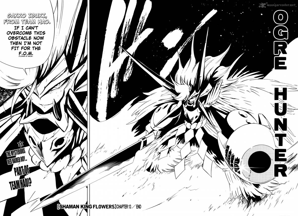 Shaman King Flowers 13 23