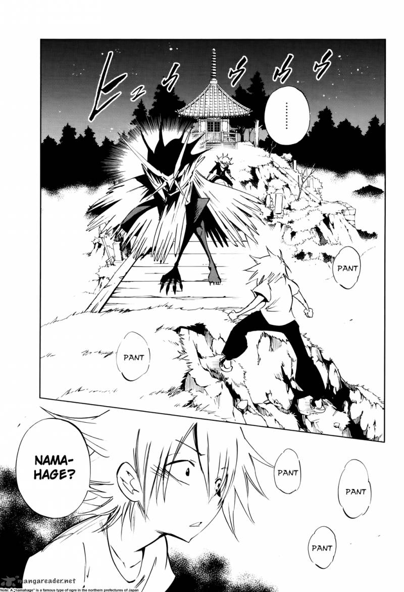 Shaman King Flowers 13 5