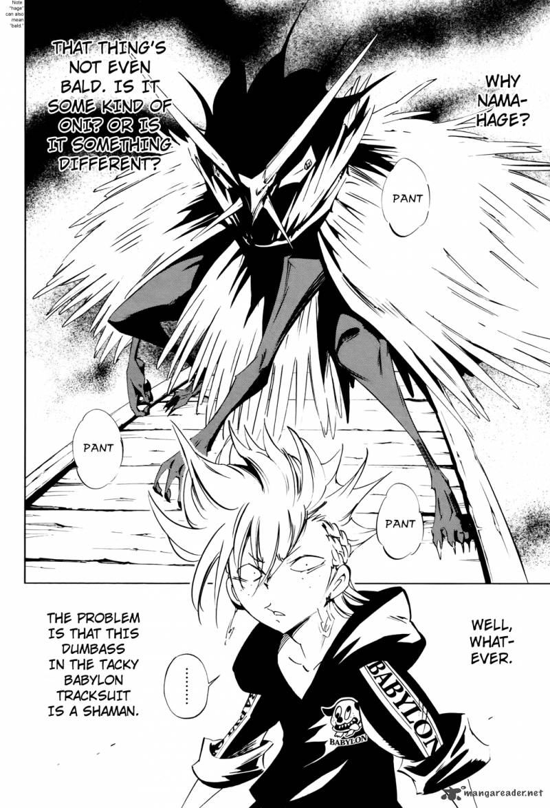 Shaman King Flowers 13 6