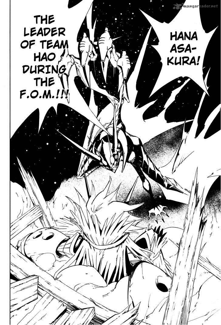 Shaman King Flowers 14 23