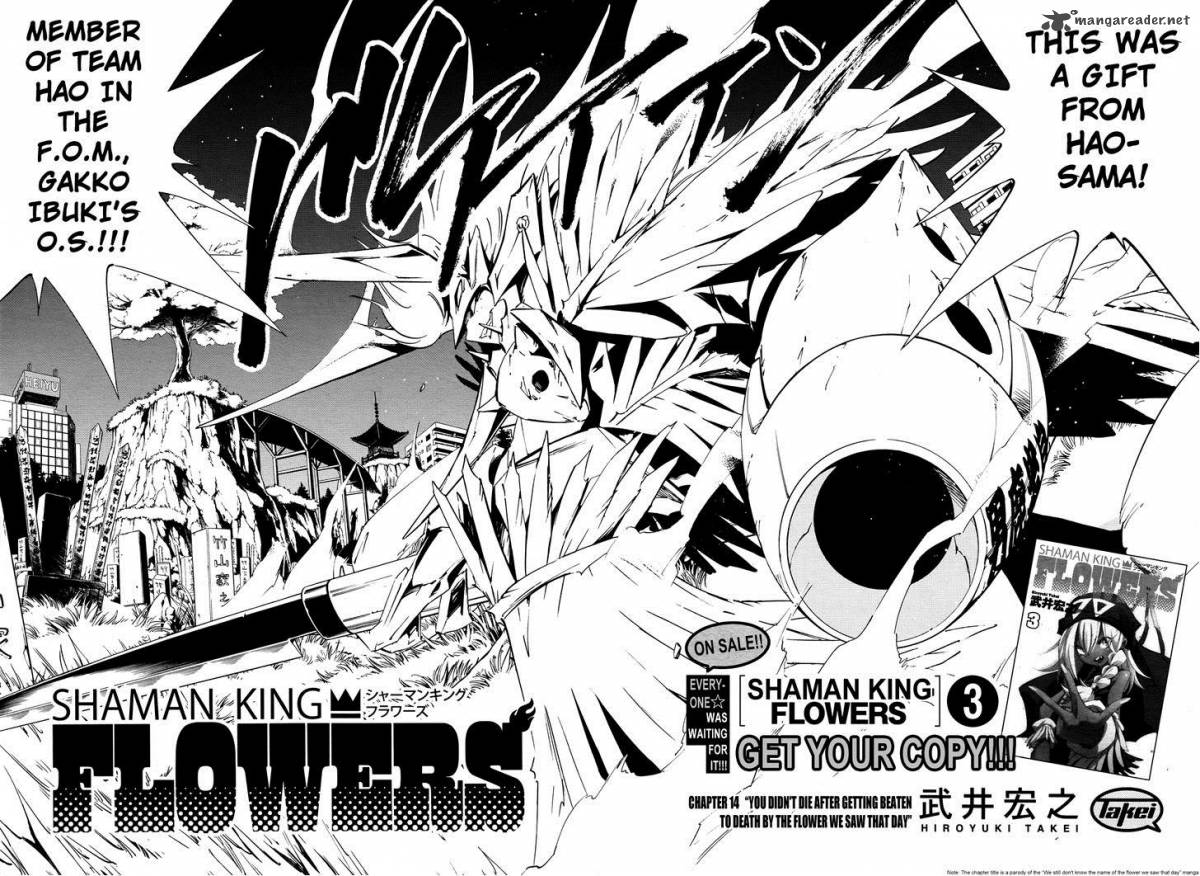 Shaman King Flowers 14 3