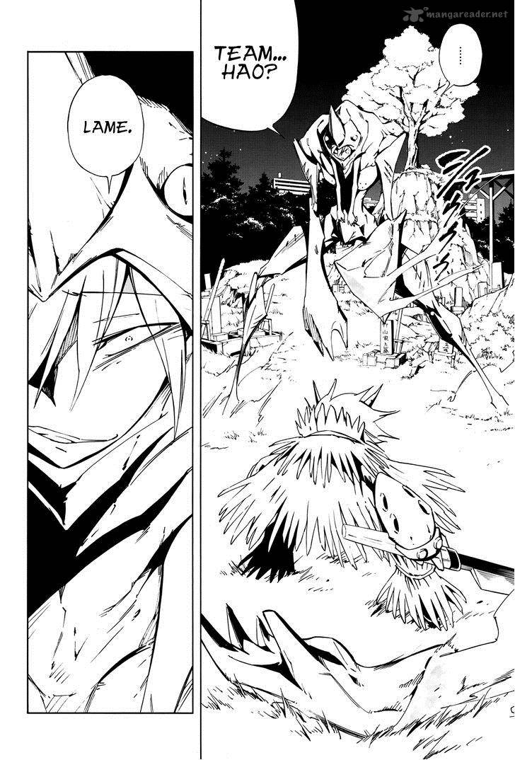 Shaman King Flowers 14 4