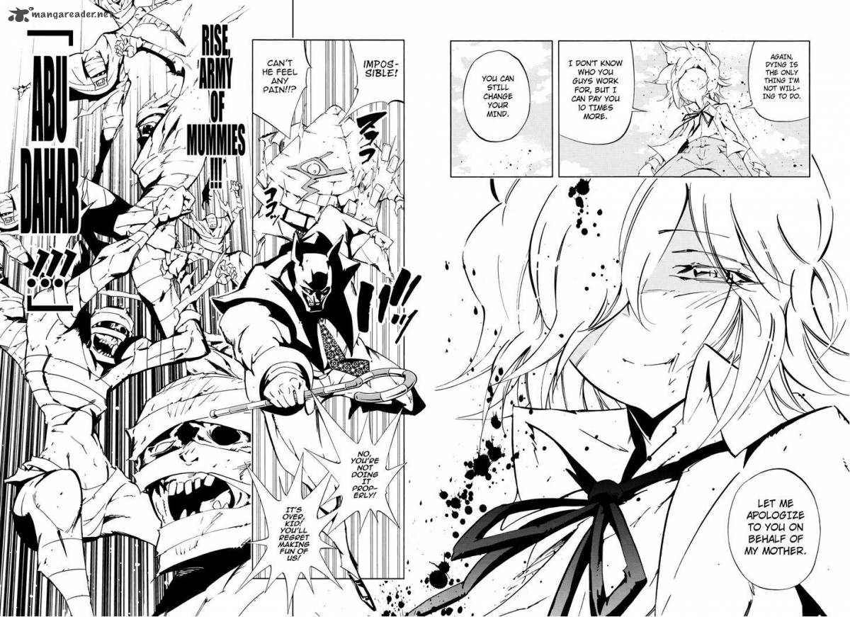 Shaman King Flowers 16 24