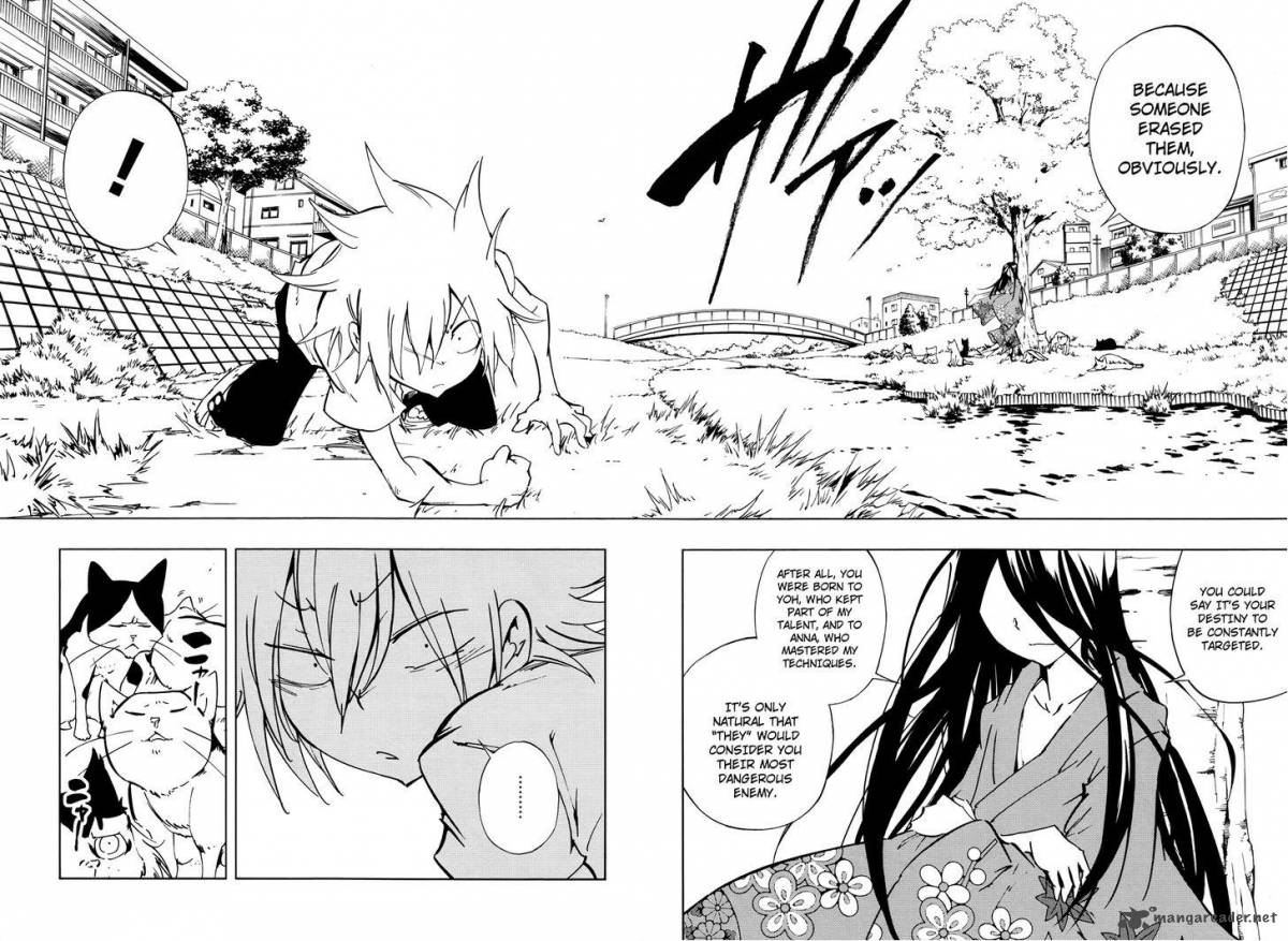 Shaman King Flowers 17 27