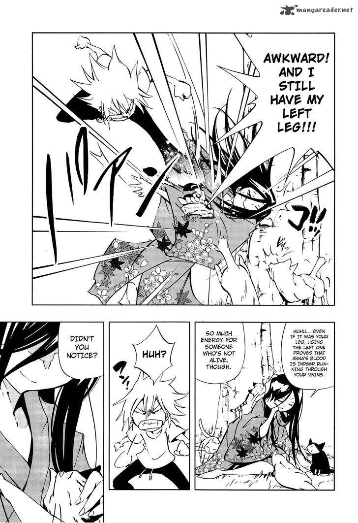 Shaman King Flowers 17 31