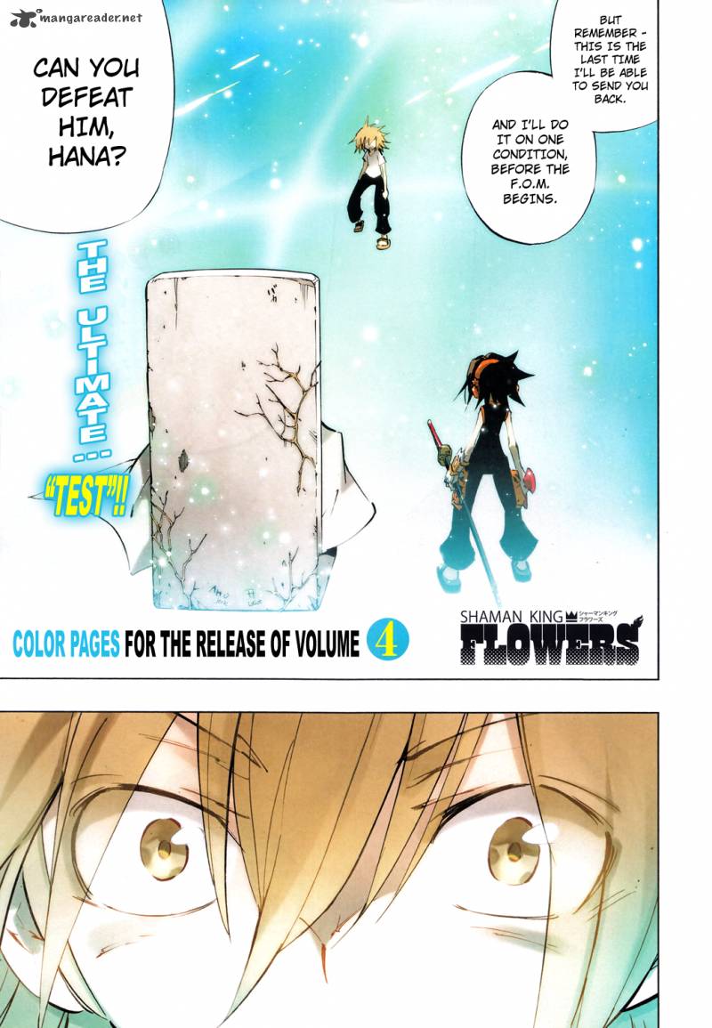 Shaman King Flowers 18 3