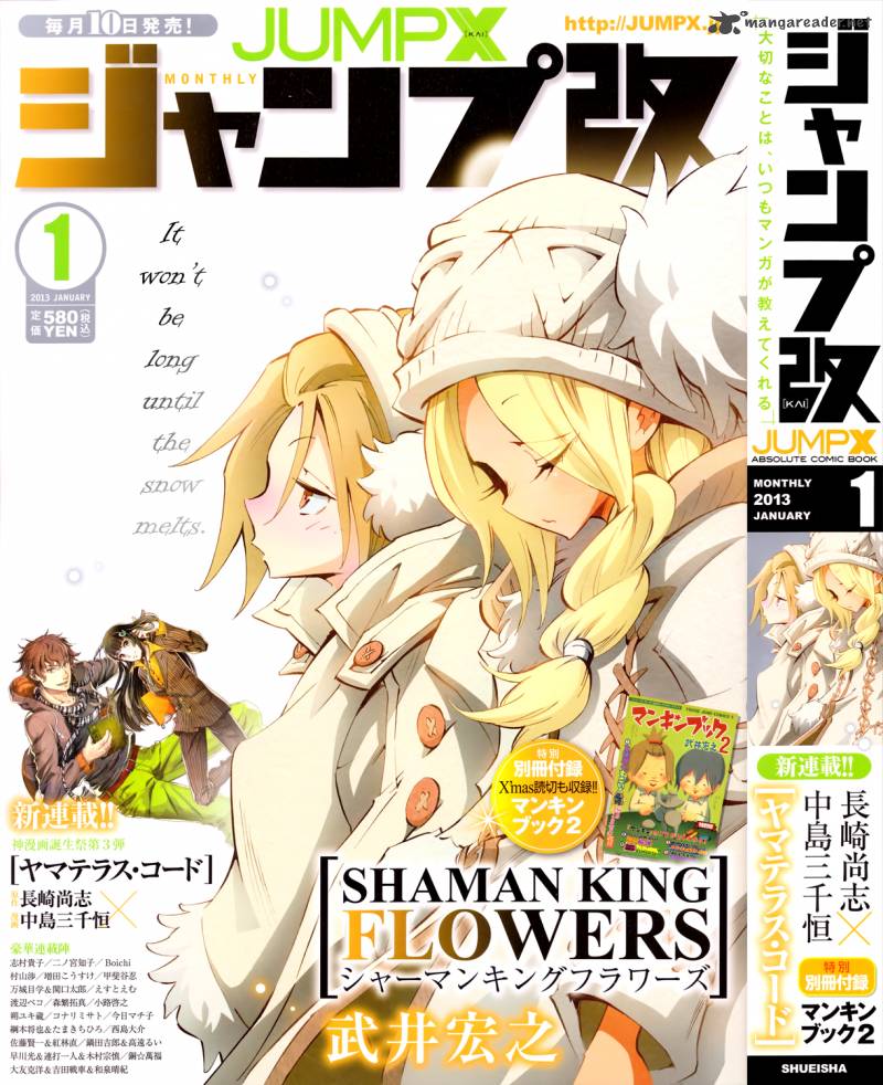 Shaman King Flowers 9 2