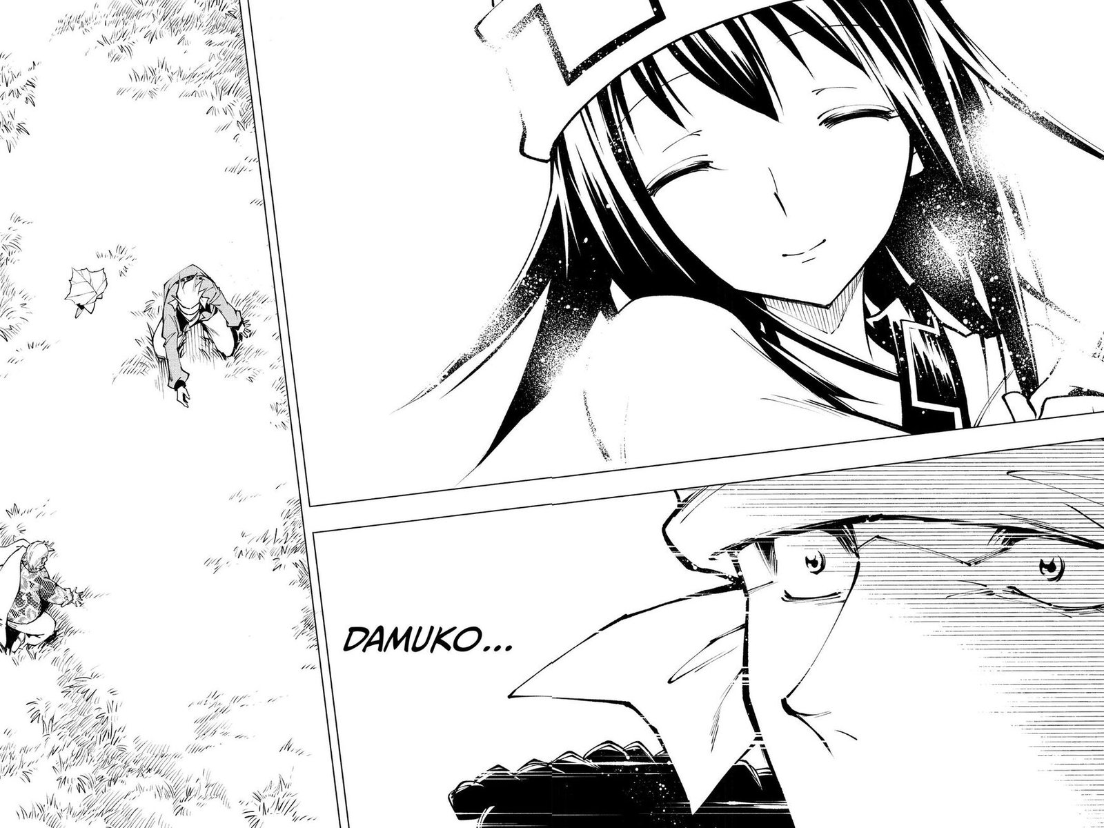 Shaman King Red Crimson 13 25